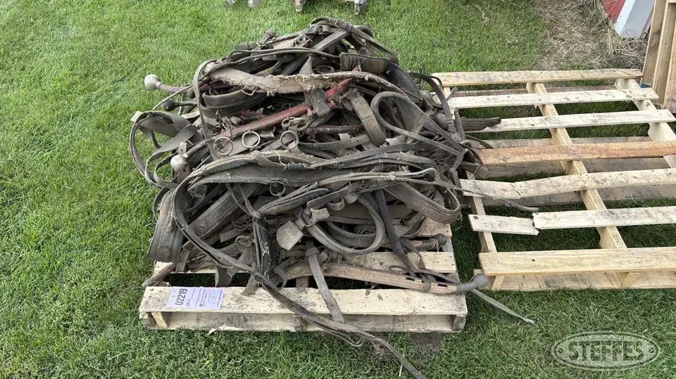 Horse harness Horse Drawn