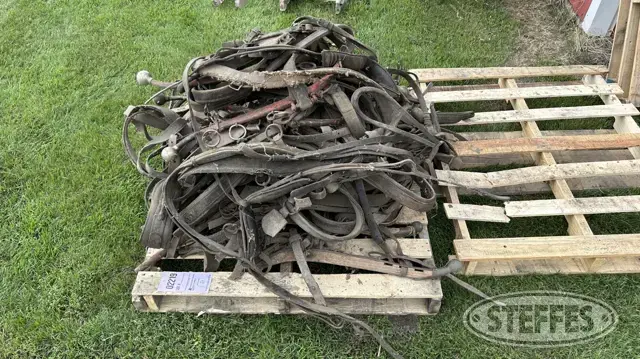 Horse harness