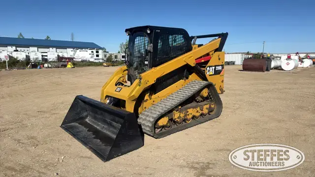 2019 CAT 229D2