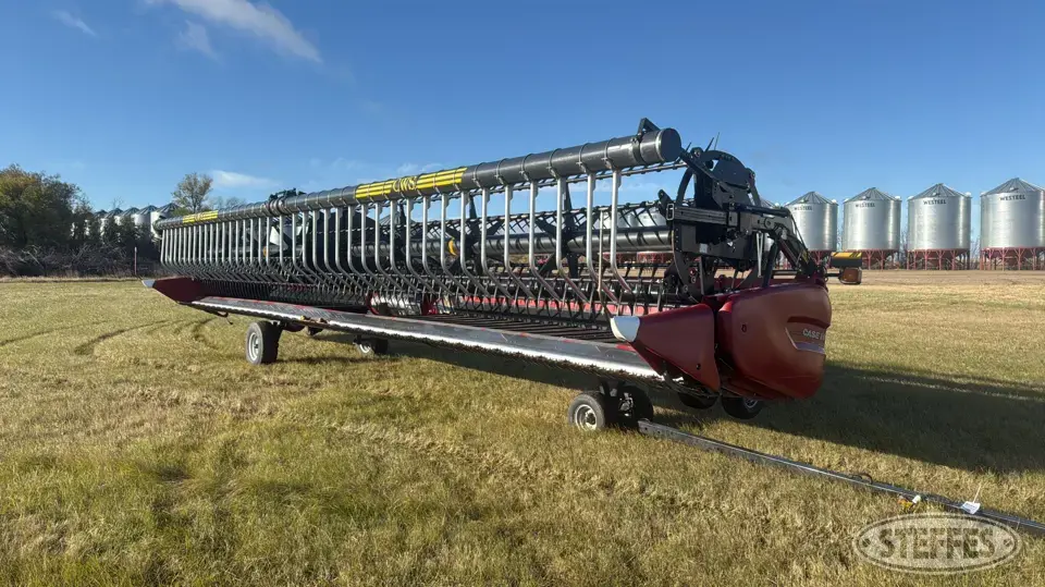 2021 Case IH 3162 TerraFlex Draper Head