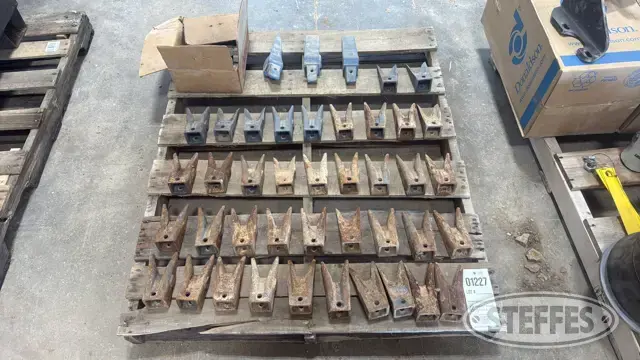 6" Bucket teeth