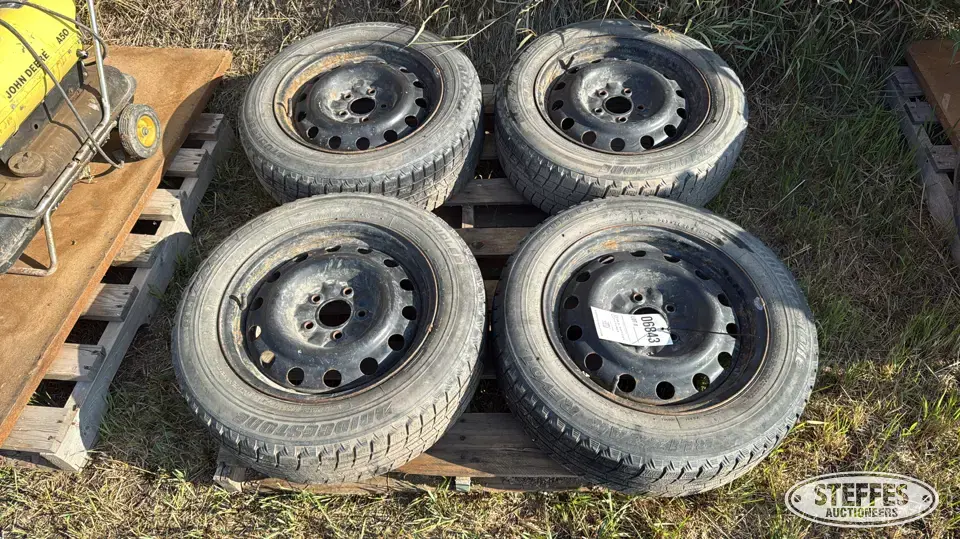 (4) Bridgestone 205/60R16 tires Passenger-Light Truck Tire