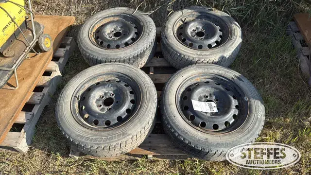 (4) Bridgestone 205/60R16 tires