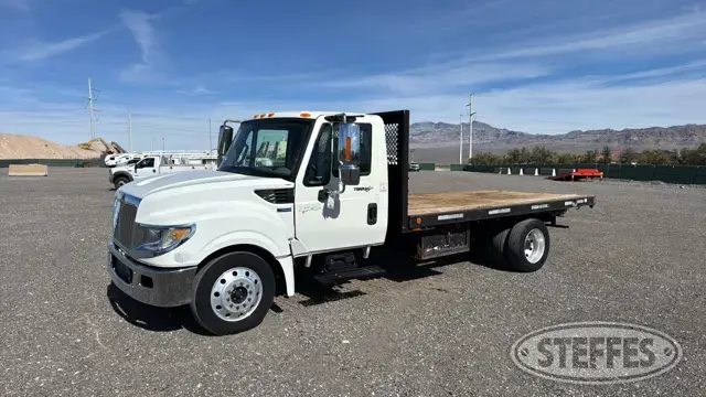 2014 International TerraStar