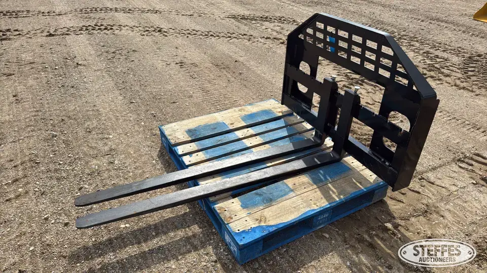 Skid steer forks