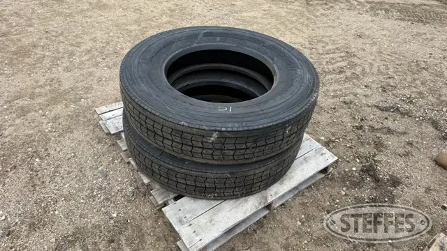 (2) Double Coin TR100 11R24.5 tires