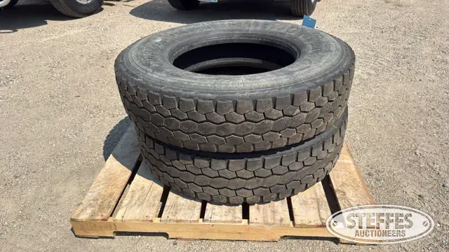 (2) 11R22.5 tires