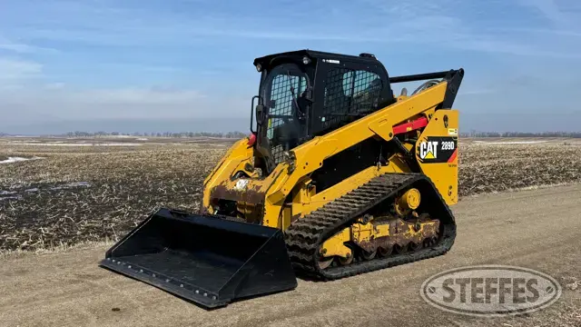 2015 CAT 289D