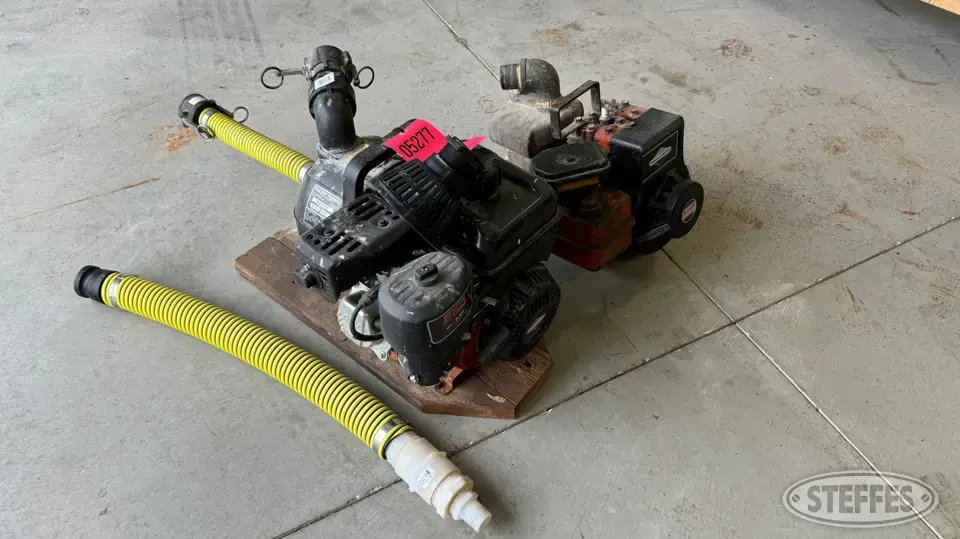 (2) Briggs & Stratton Transfer Pumps General Business Support Item