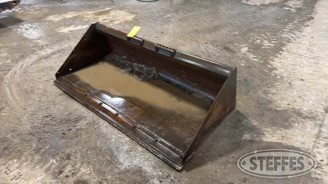 Bobcat