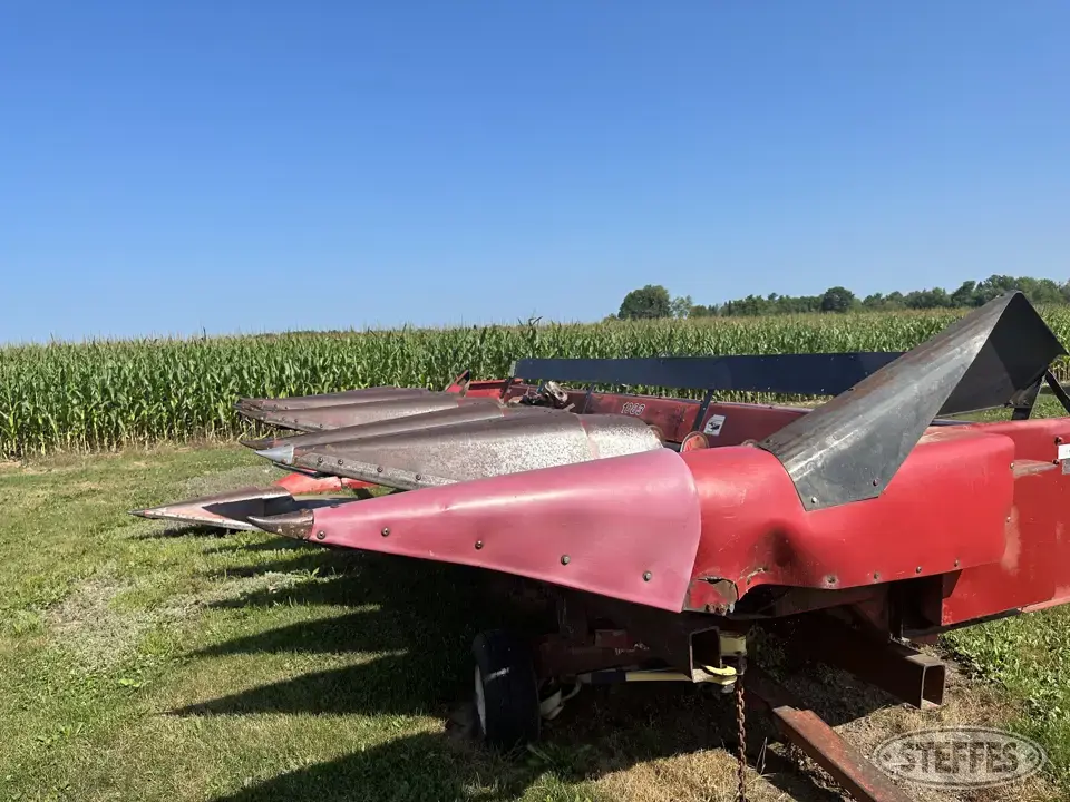 International Corn Head