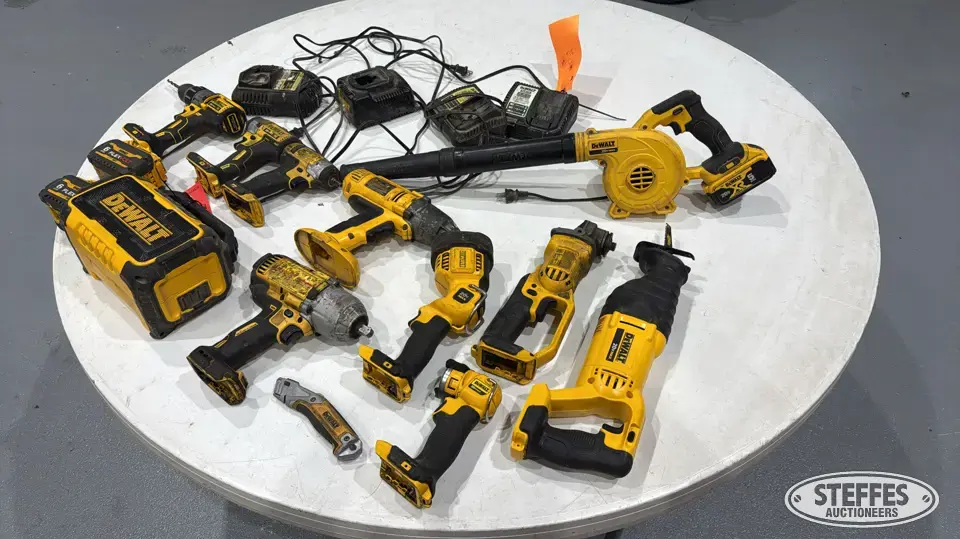 Dewalt power tools General Tools and Shop Supply