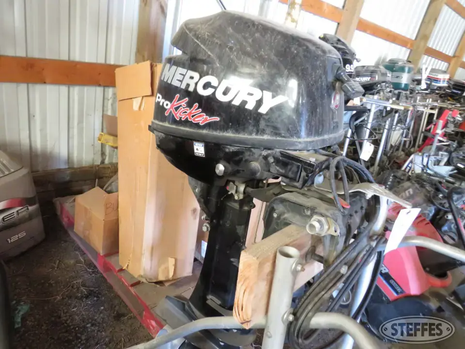 2014 Mercury Boat Motor
