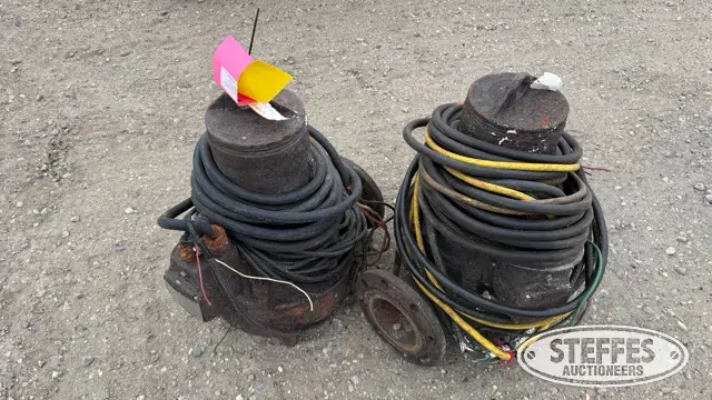 (2) ABS submersible pumps
