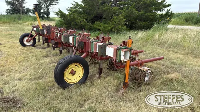 Lilliston row crop cultivator