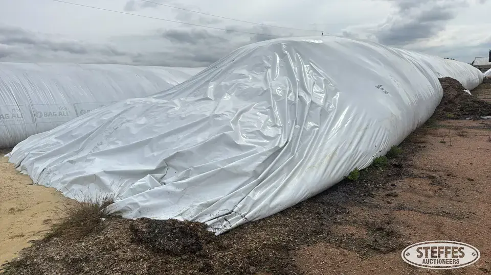 2025 Corn Silage Forage