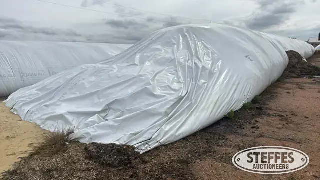 2025 Corn Silage