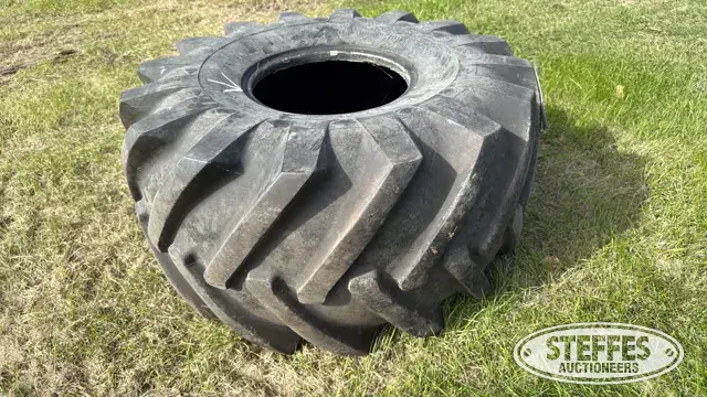 Goodyear 21.5L-16.1 tire