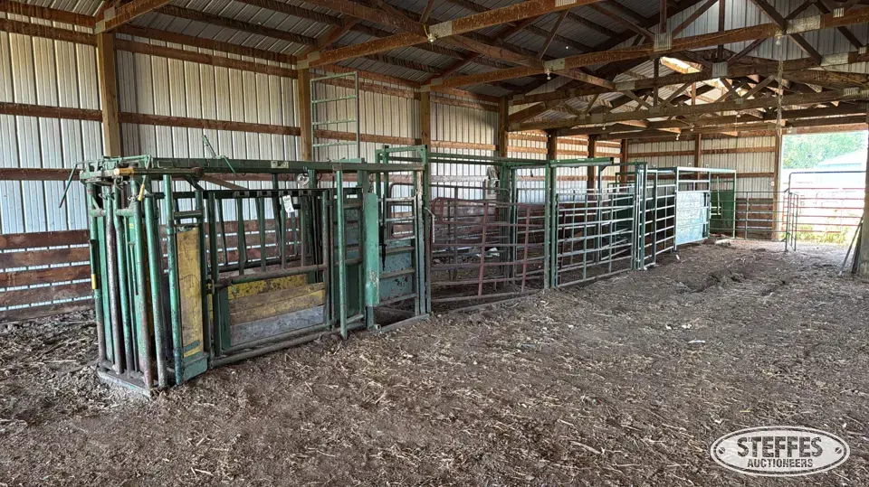 Real Tuff squeeze chute, tub, & alley Livestock Handling