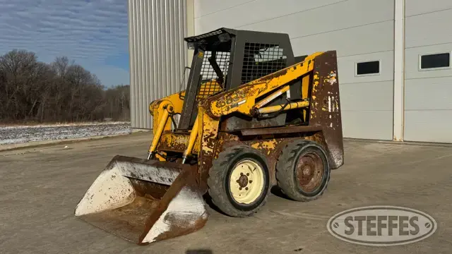 2000 Gehl 3825