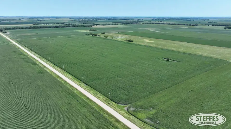 Traverse County, MN – Monson Township Farmland