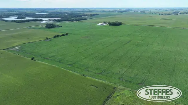 TRACT 2: 77.62± Acres (See Survey, Tract 3)