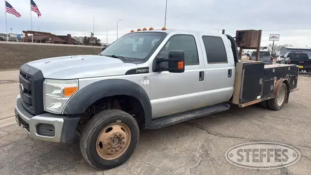 2015 Ford Super Duty F-550 XL