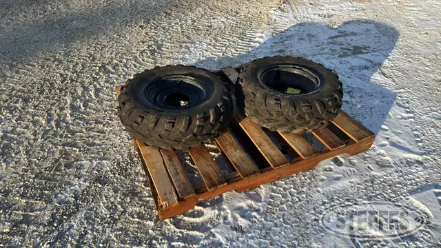 (2) Carlisle AT489 25x10-12 tires