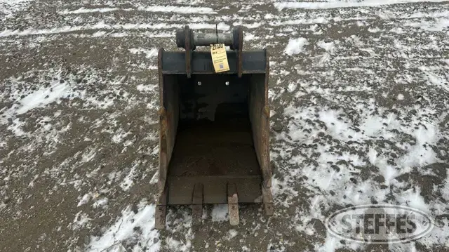 Bobcat