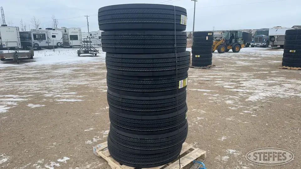 (8) Zwarth 11R22.5 steer tires Truck Tire