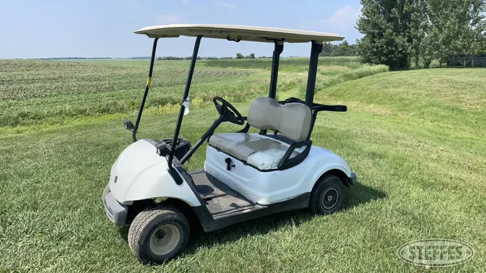 2014 Yamaha YDRAX5 General Business Support Item