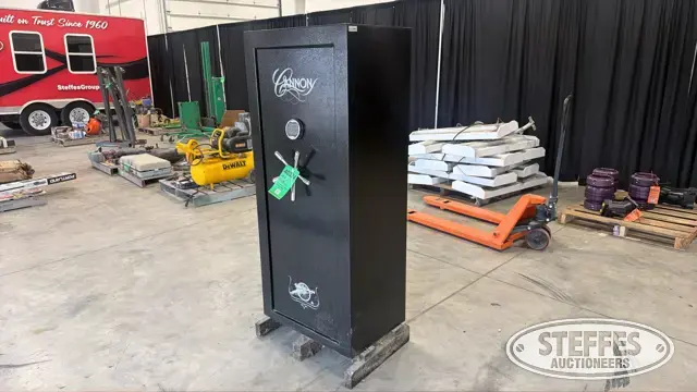 Cannon gun safe