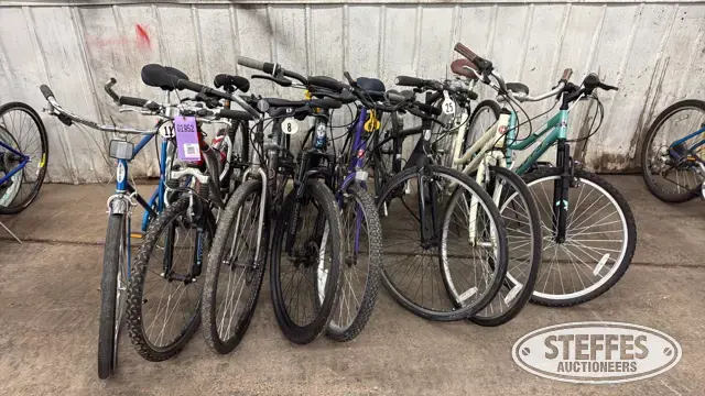 (8) Bikes