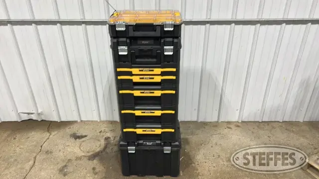Asst. DeWalt T-stack boxes