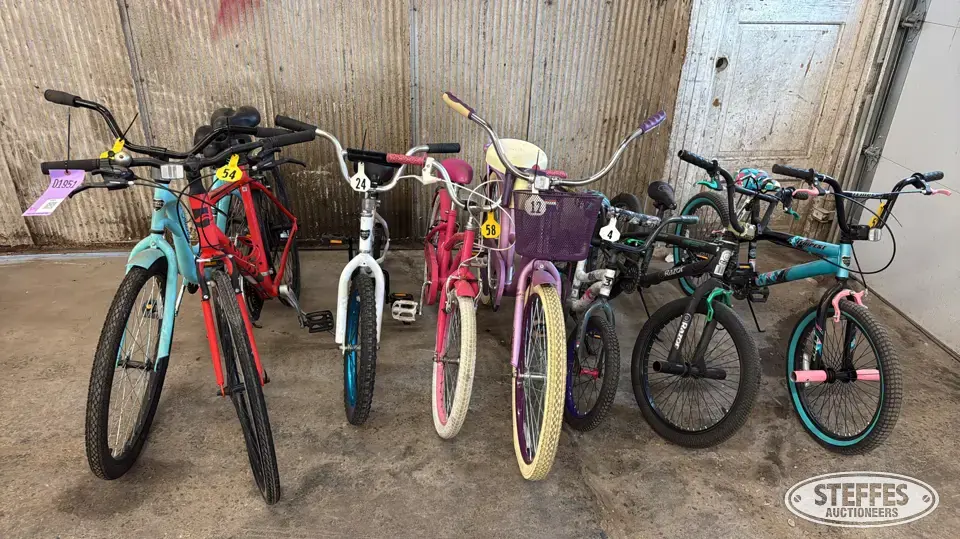 (8) Bikes Recreational-Other