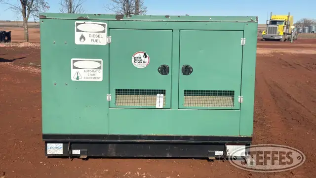 2004 Cummins Power Generation DGGD-5696239