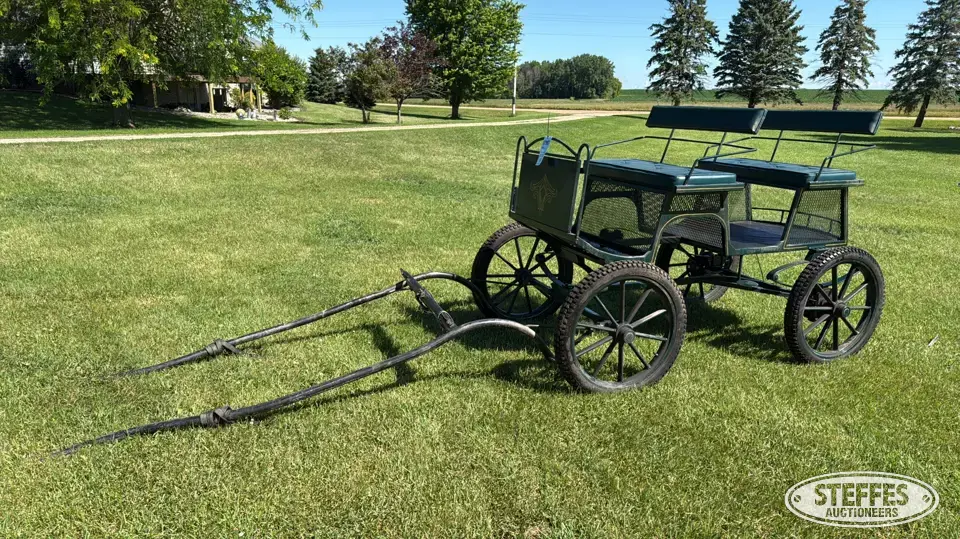 Horse drawn buggy