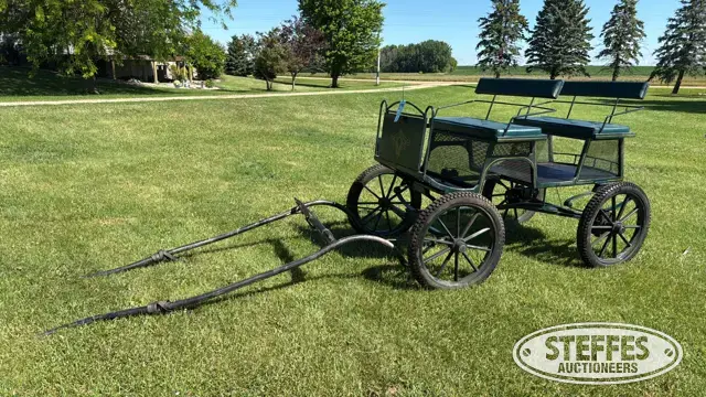 Horse drawn buggy