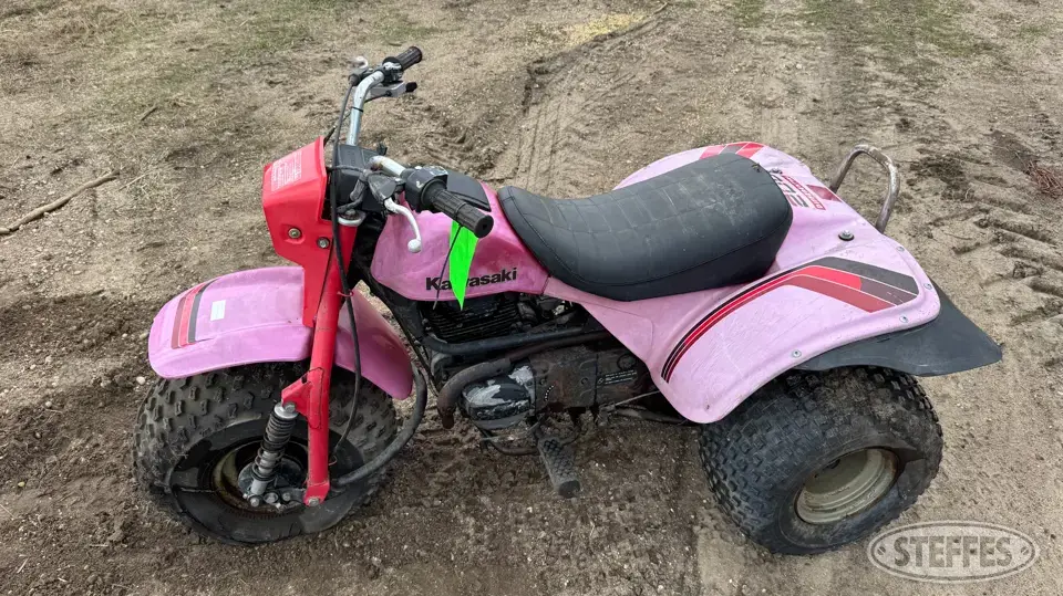 Kawasaki 200 ATV