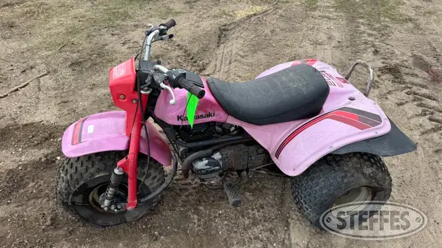 Kawasaki 200