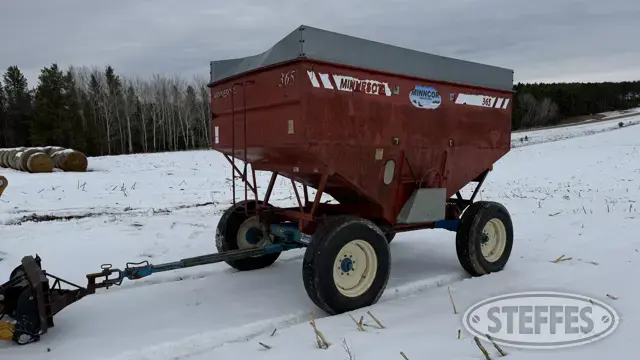 Minnesota 365