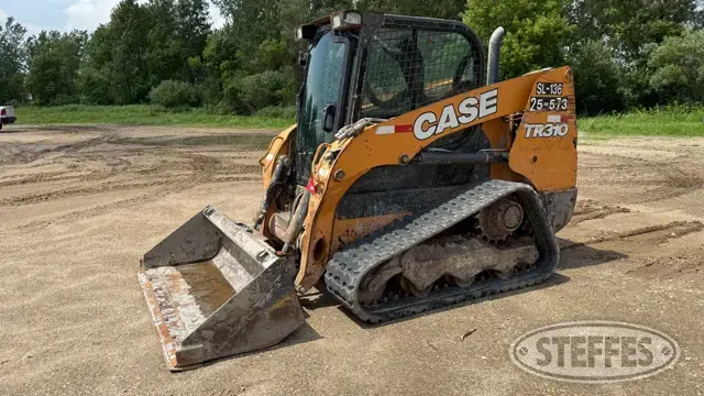 2019 Case TR310