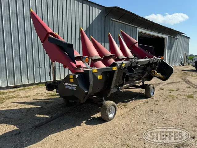 2007 Geringhoff RD600