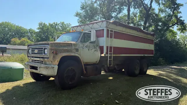 1973 Chevrolet C65