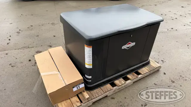 2022 Briggs & Stratton 040336