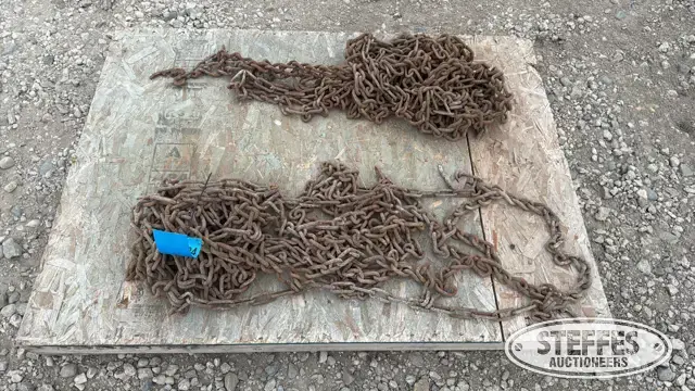 (2) Tire chains