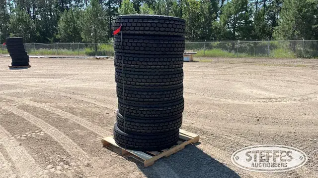 (8) Headway HLD811 11R22.5 tires