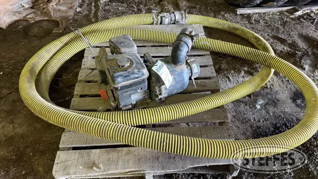 Pacer pump