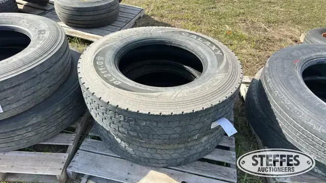 (2) 11R22.5 tires