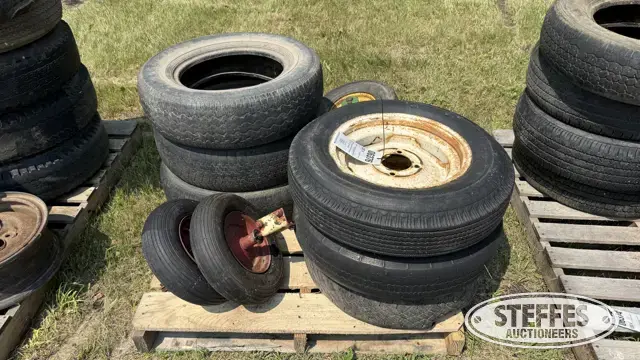 (10) Tires